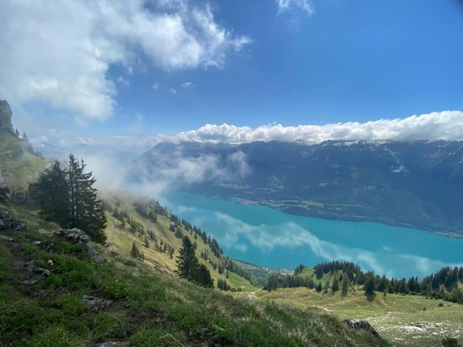 Chalet Mignon - Your Vacation Oasis At Lake Brienz Bönigen Dış mekan fotoğraf
