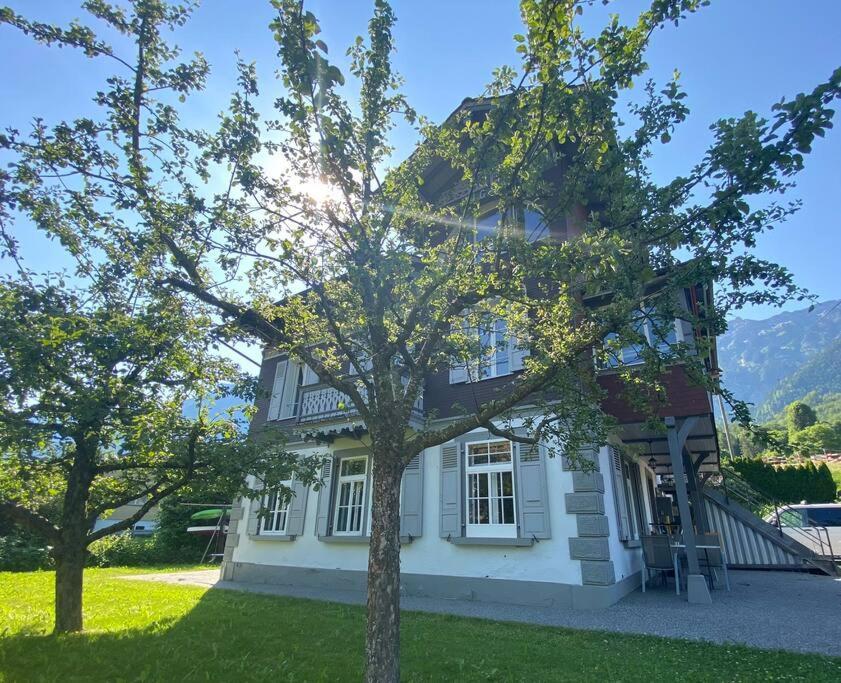 Chalet Mignon - Your Vacation Oasis At Lake Brienz Bönigen Dış mekan fotoğraf
